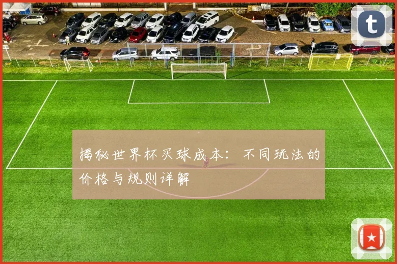 揭秘世界杯买球成本：不同玩法的价格与规则详解