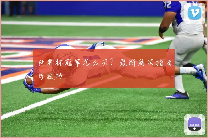 世界杯冠军怎么买？最新购买指南与技巧