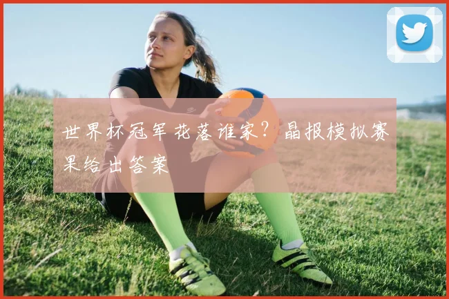 世界杯冠军花落谁家？晶报模拟赛果给出答案