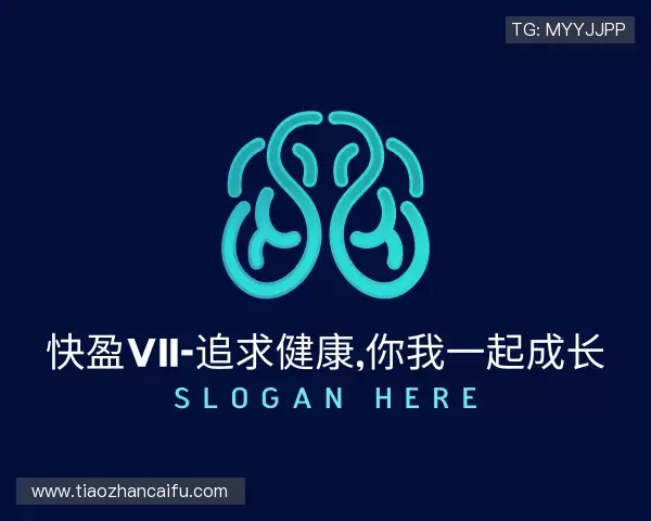 认识快盈VIII